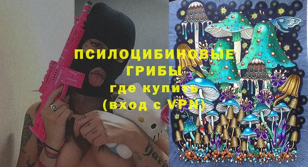 крисы Вяземский